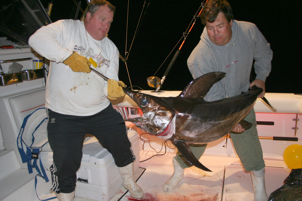 swordfish fishing at night
