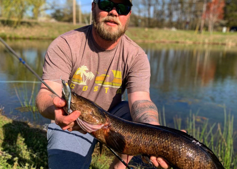 blackwater snakehead fishing