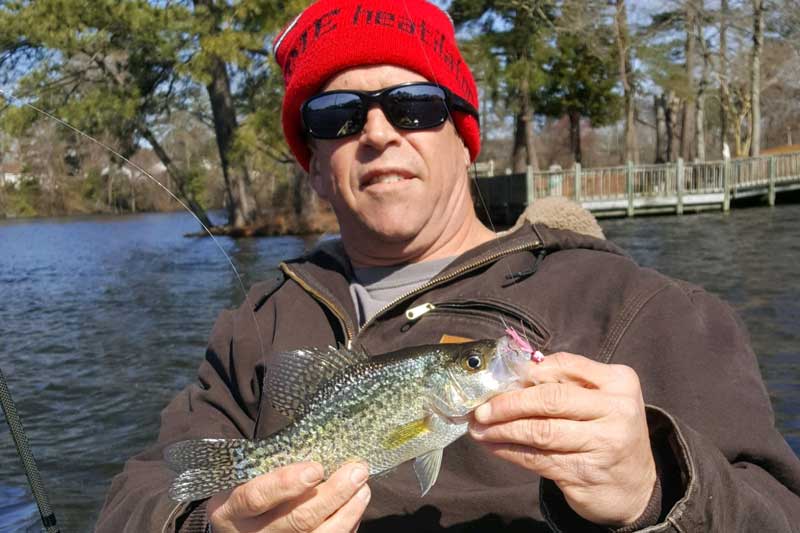 wicomico river crappie