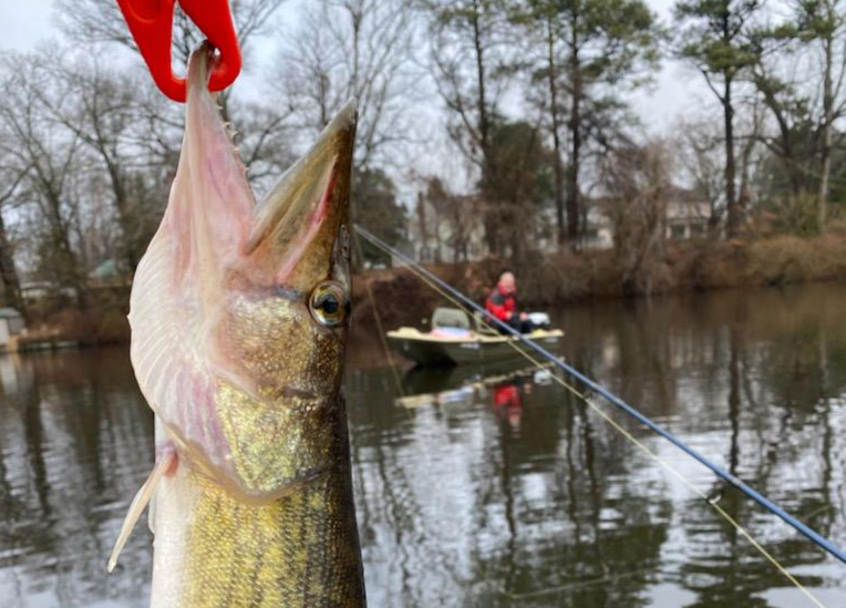 kayak fishing for pickerel at the ponds