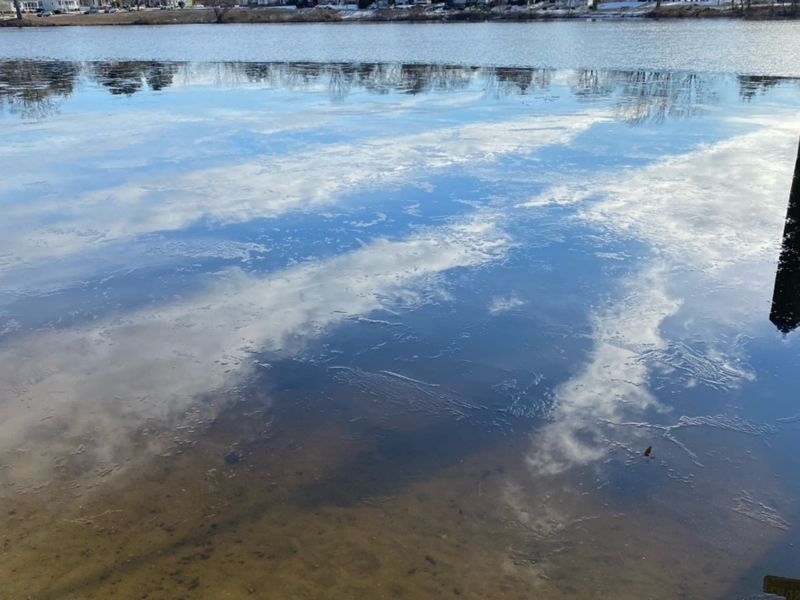 frozen pond