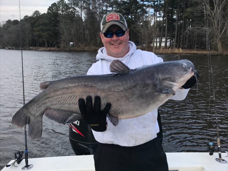 big catfish on the shore