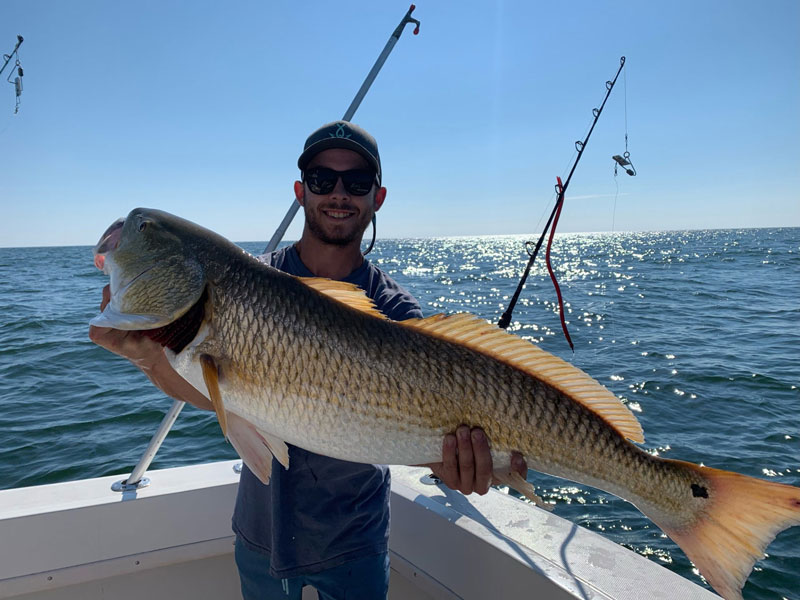 red drum near the tangier sound