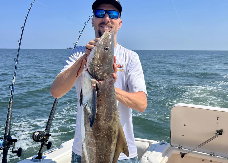 trolling for cobia