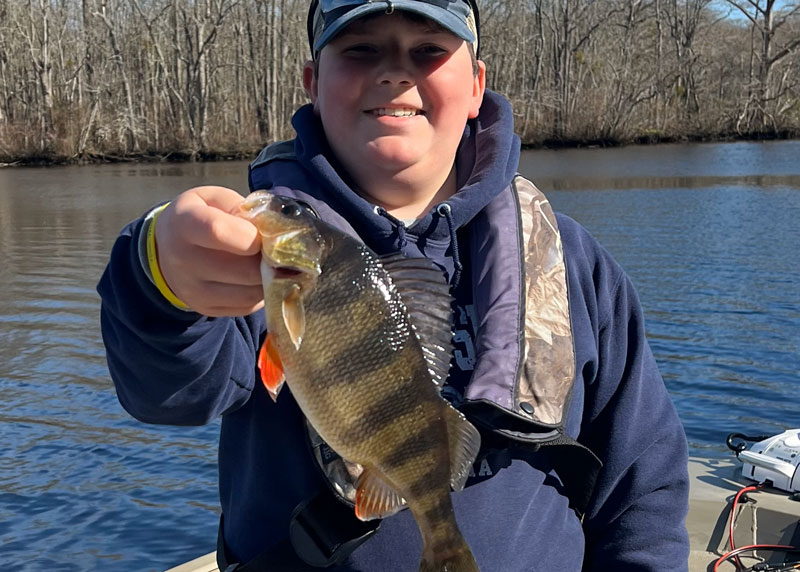 eastern shore perch fishing