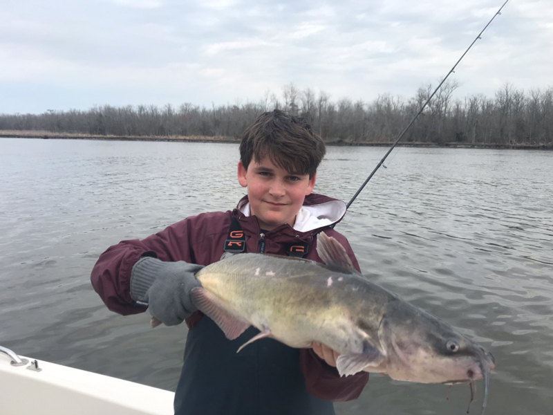 marshyhope river catfish