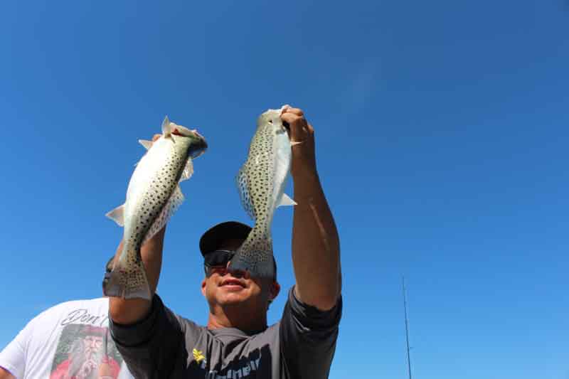 speckled sea trout caught in the tangier sound