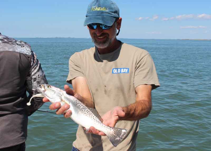 tangier sound speckled sea trout
