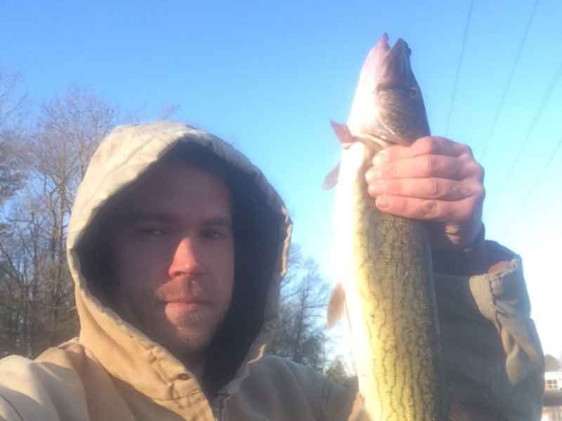 pickerel fishing