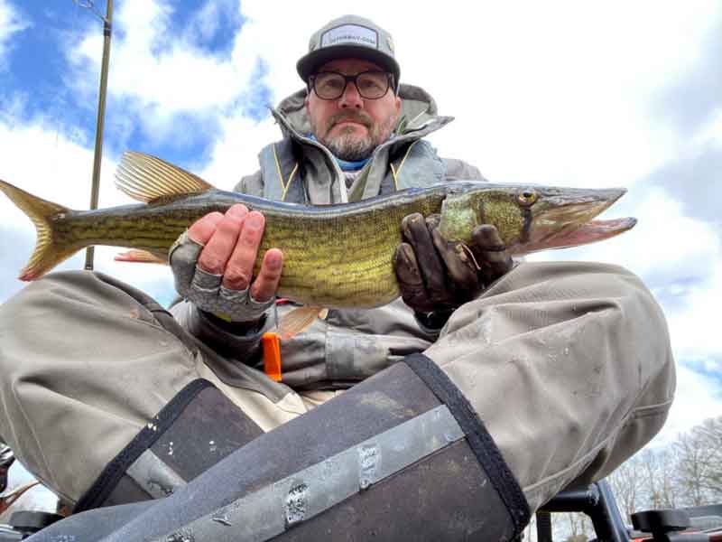 pickerel angler