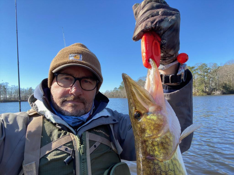 pickerel angler