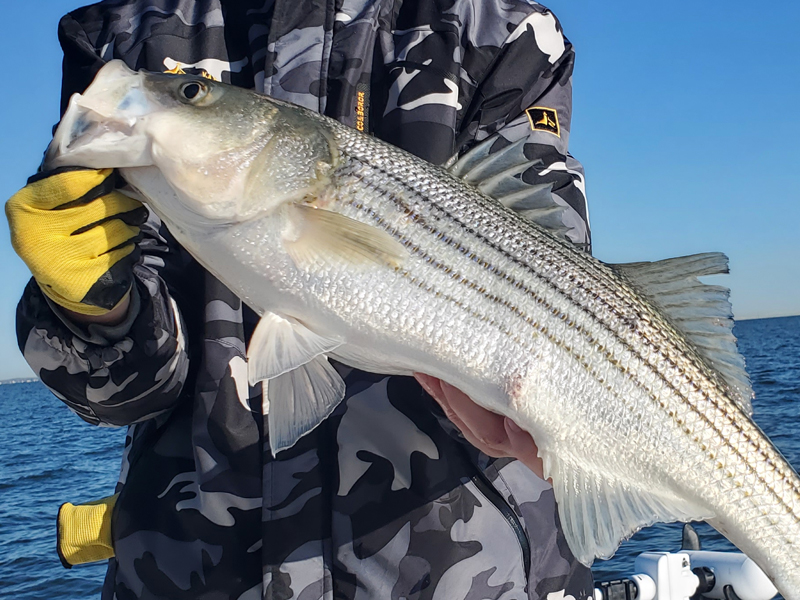 rockfish fishing