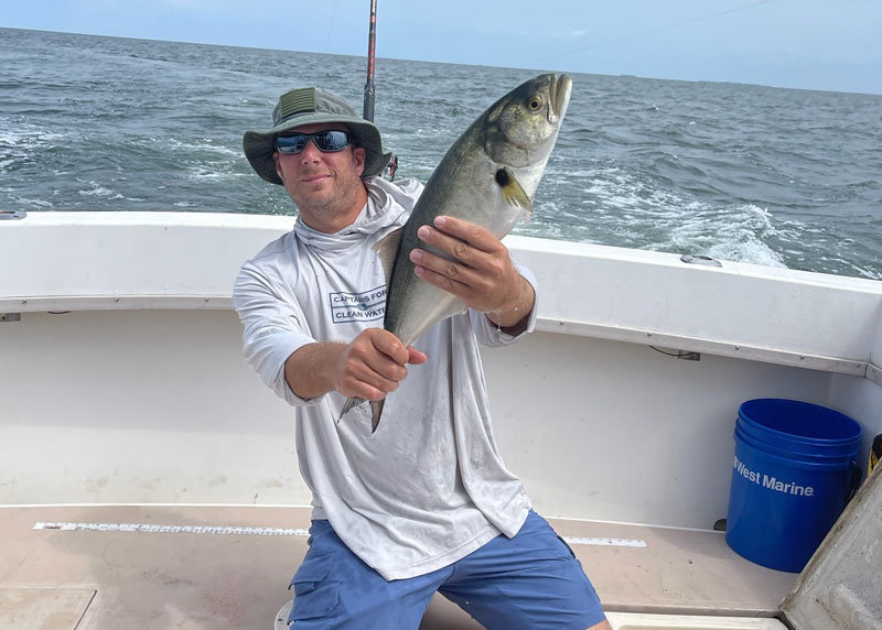 big bluefish in the sound