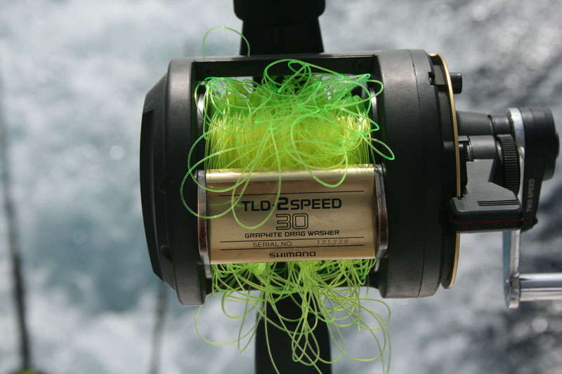 tangled fishing reel