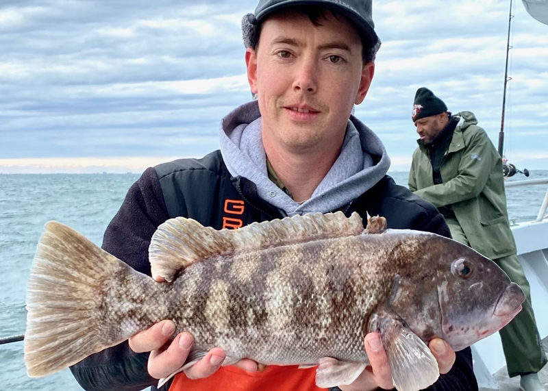 ocean tautog