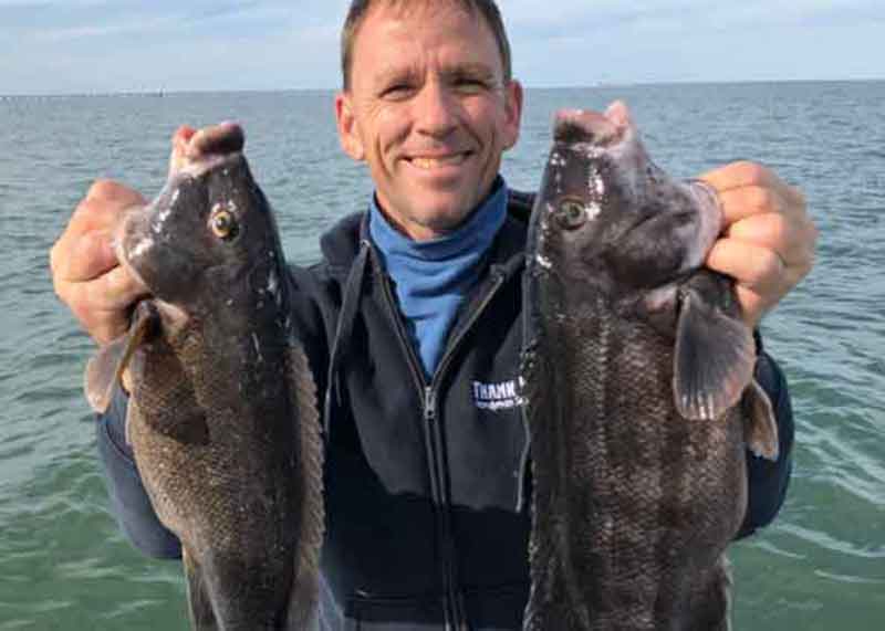 angler holding up tautog