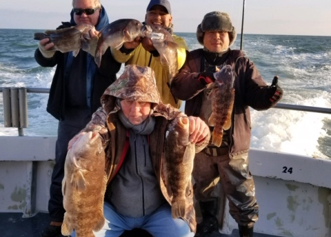 tautog caught on morning star