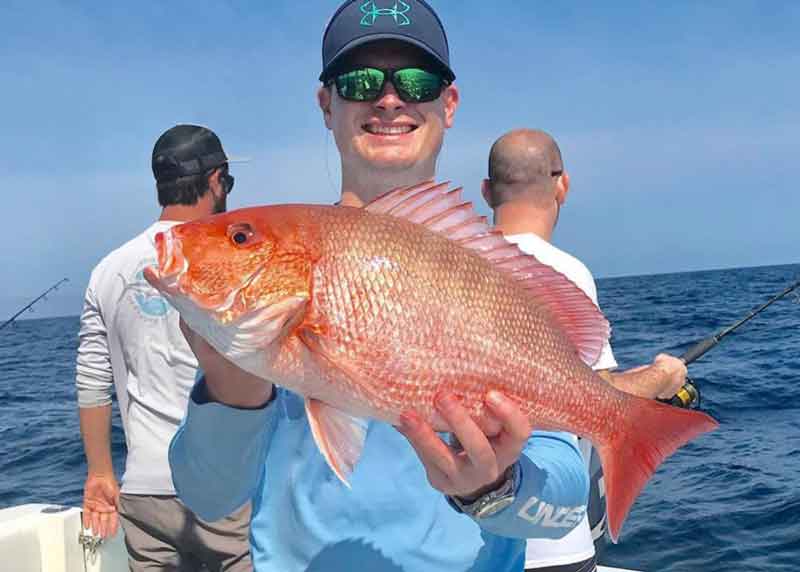 big red snapper