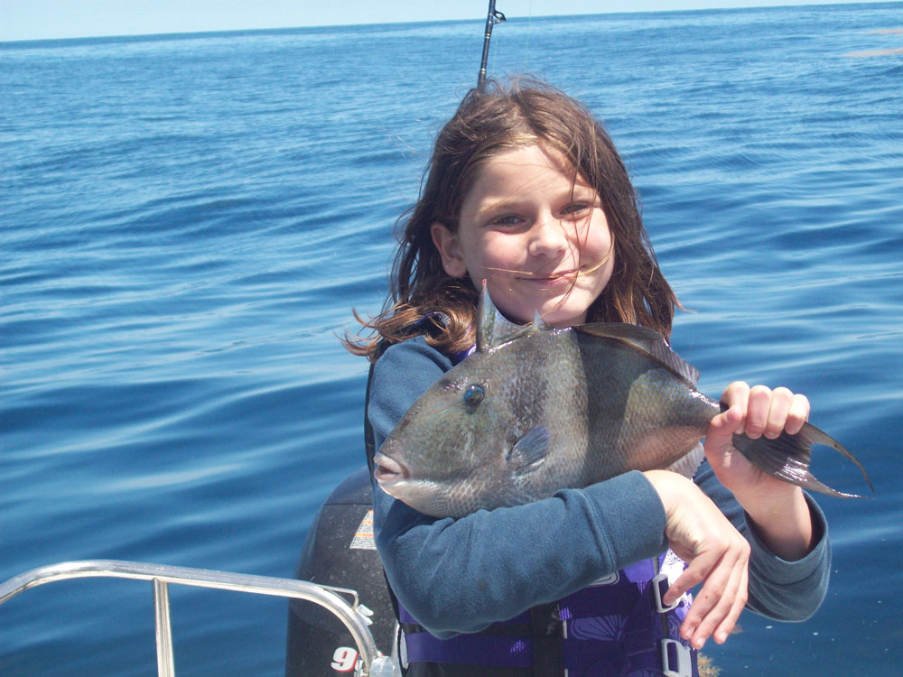 fishing for triggerfish