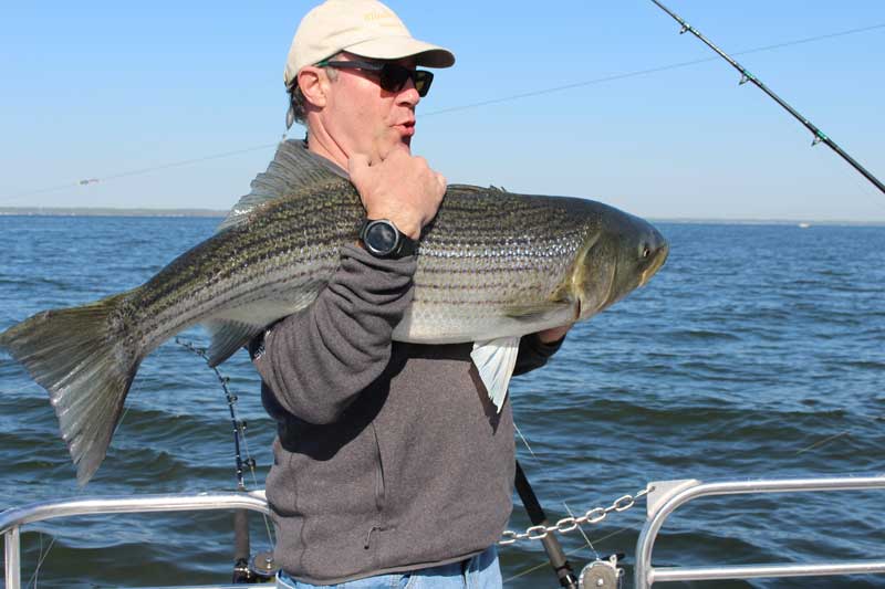 Gearing Up, Part II: Choosing the Best Chesapeake Bay Trolling