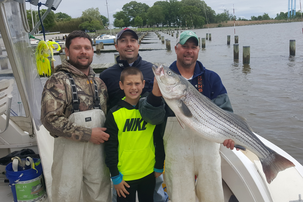 trolling chesapeake bay for rockfish