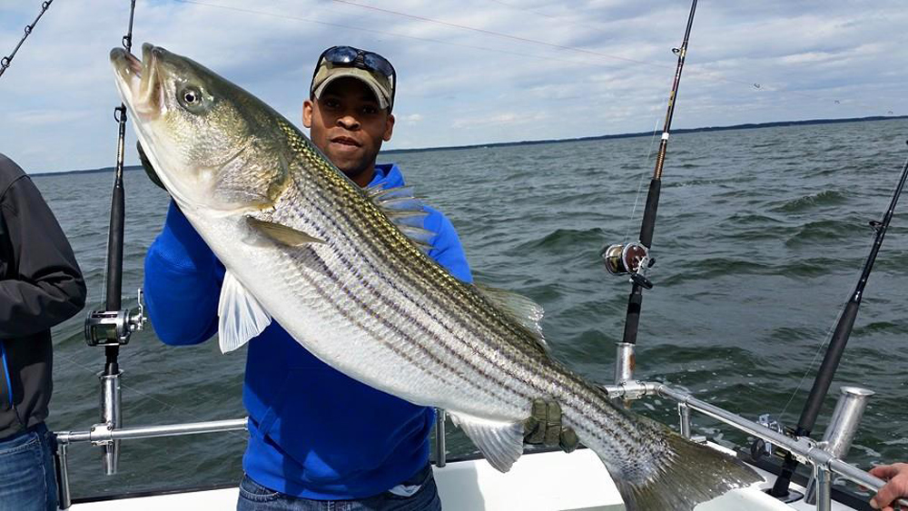 Spring Trophy Rockfish Trolling Tips