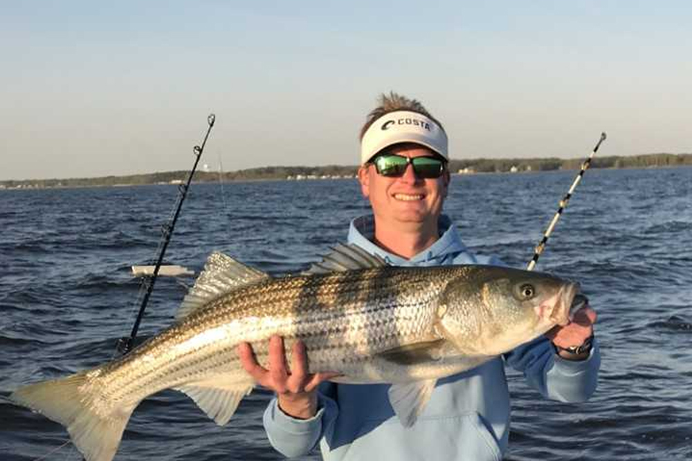 big striper