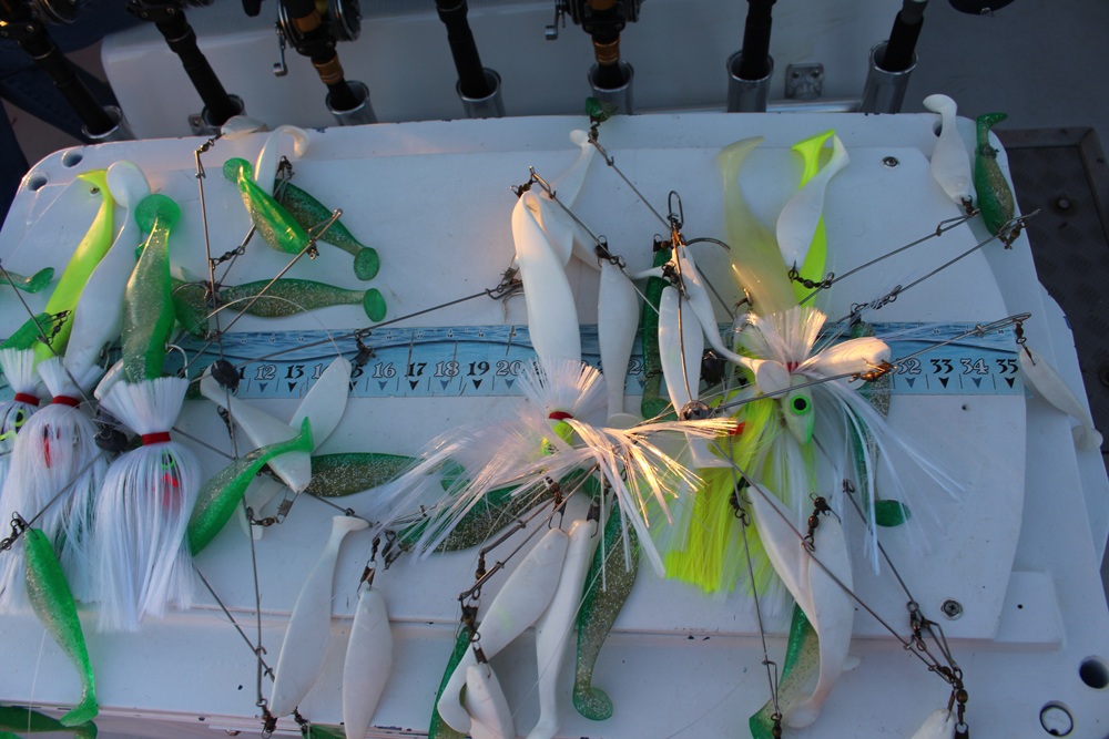 trolling umbrella rigs