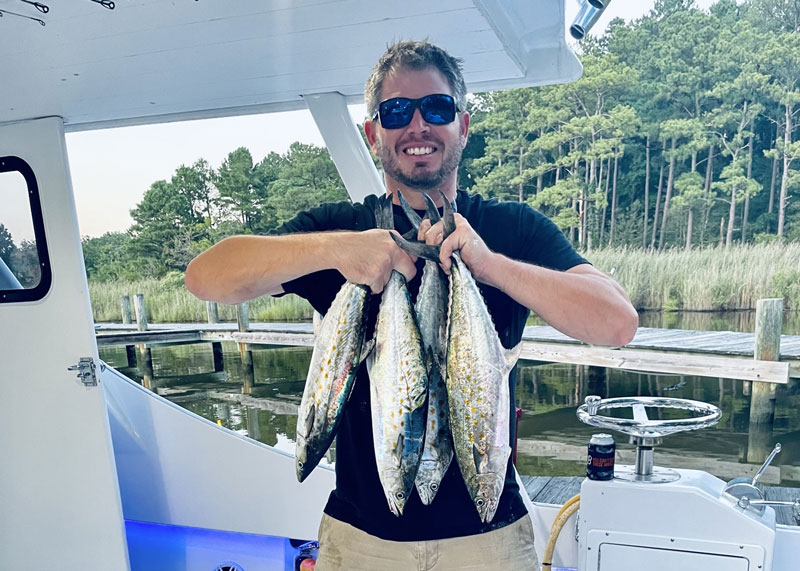 spanish mackerel in the upper bay