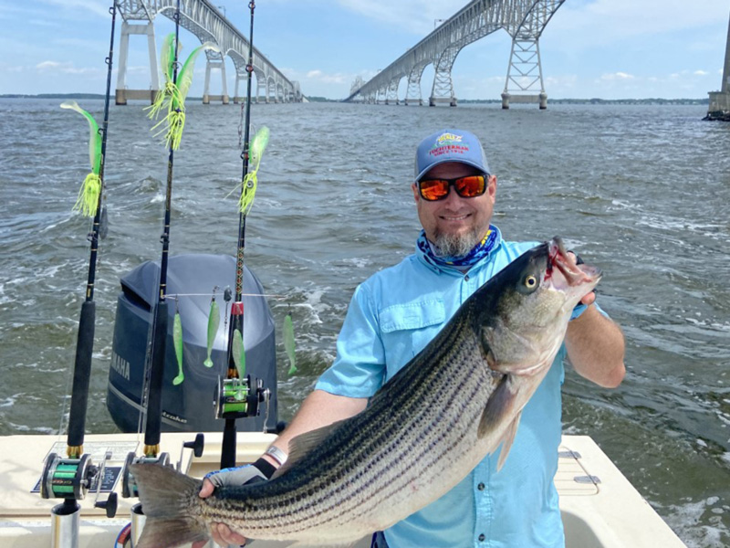 upper bay striper trophy season