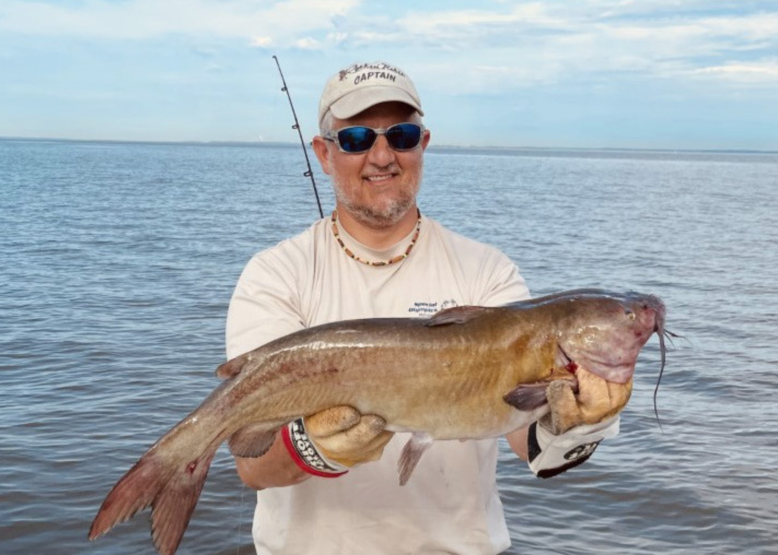 big upper bay catfish