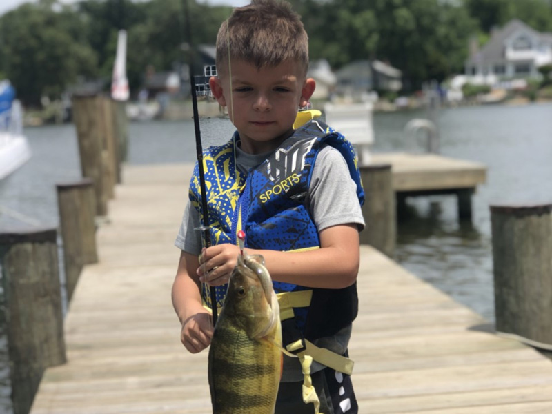 huge yellow perch!