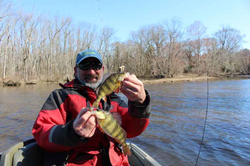 angler with perch