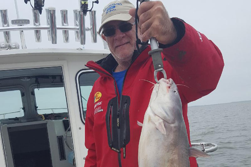 uppr chesapeake catfish