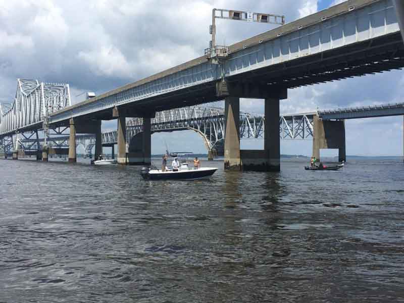 fishing the bay bridge