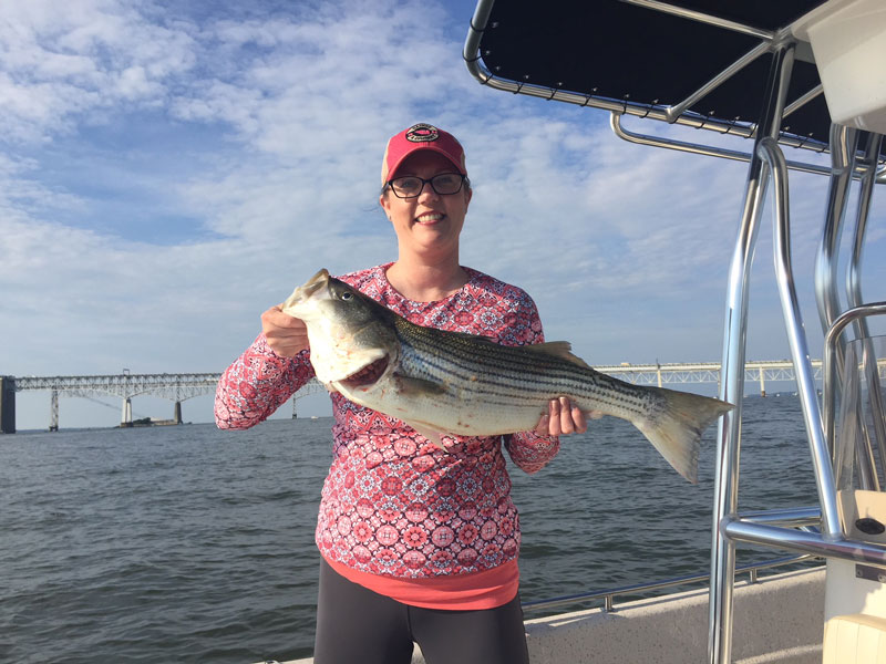 rockfishing in the upper chesapeake