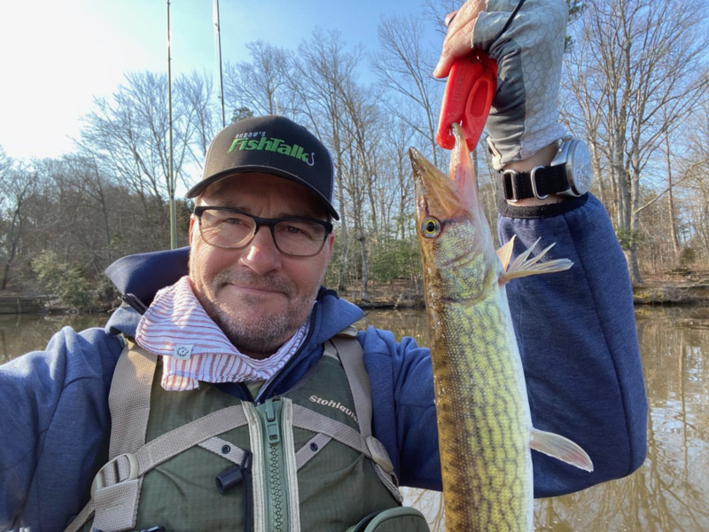 pickerel fishing on a kayak