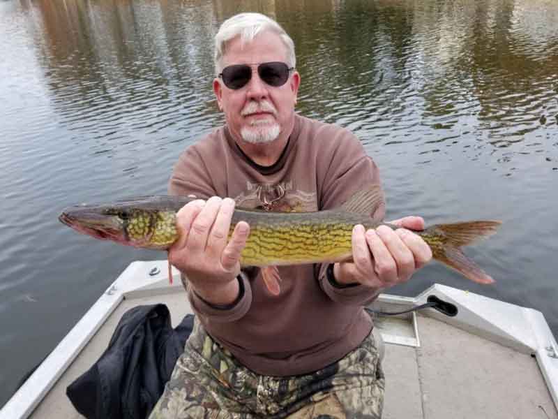 pickerel caught in the magothy river
