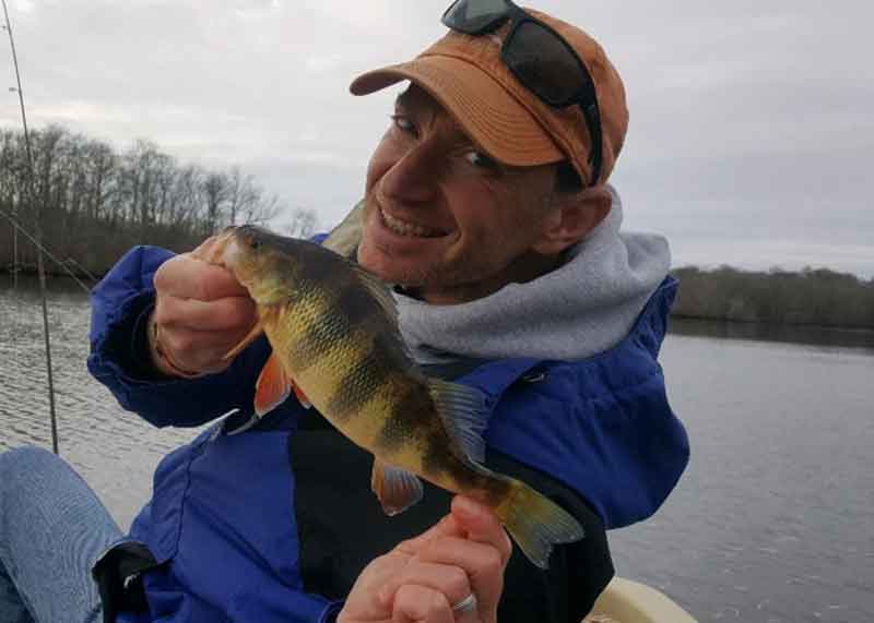 angler caught a yellow perch while winter fishing