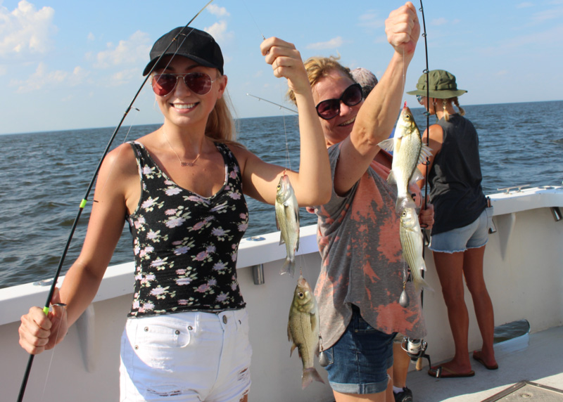 white perch fishing