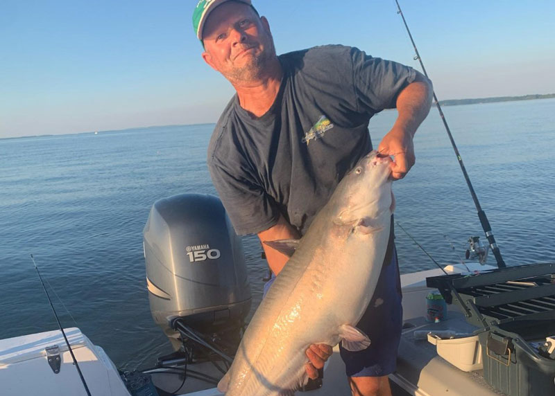 39 inch blue catfish