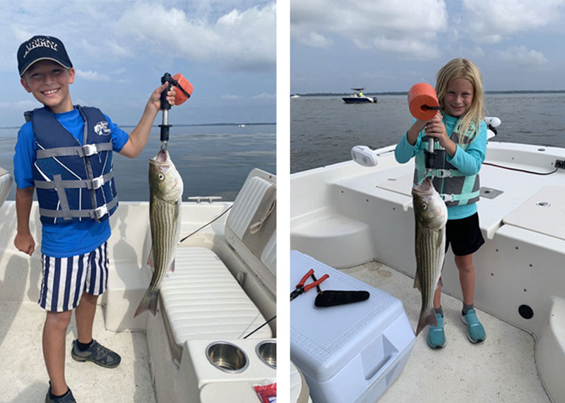 upper bay rockfish fishing