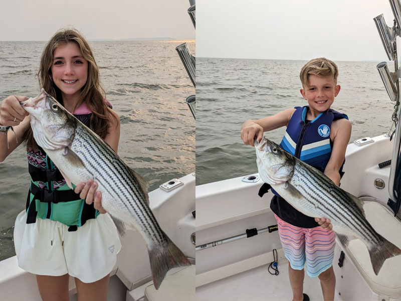 patapsco river rockfish