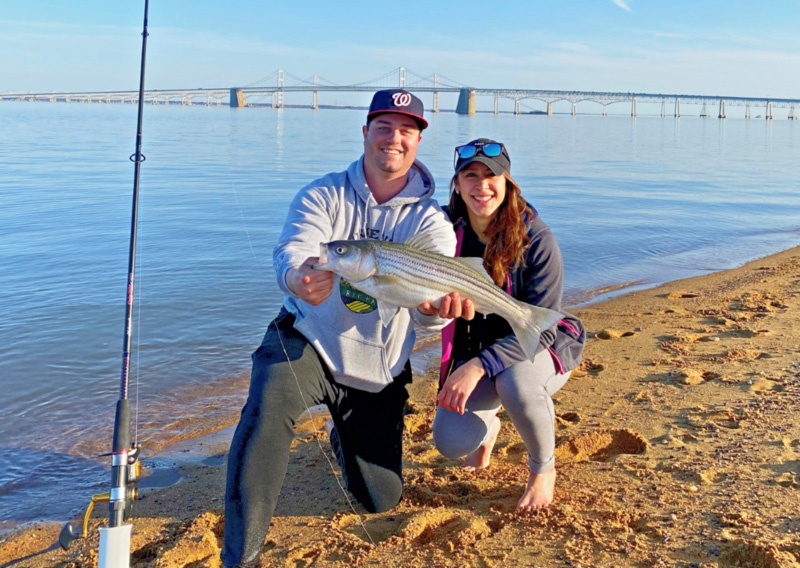 upper bay rockfish caught from shore