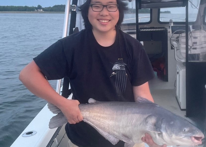 blue catfish in the bay