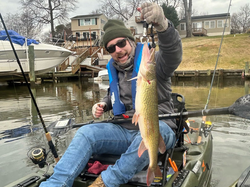 upper bay pickerel fishing