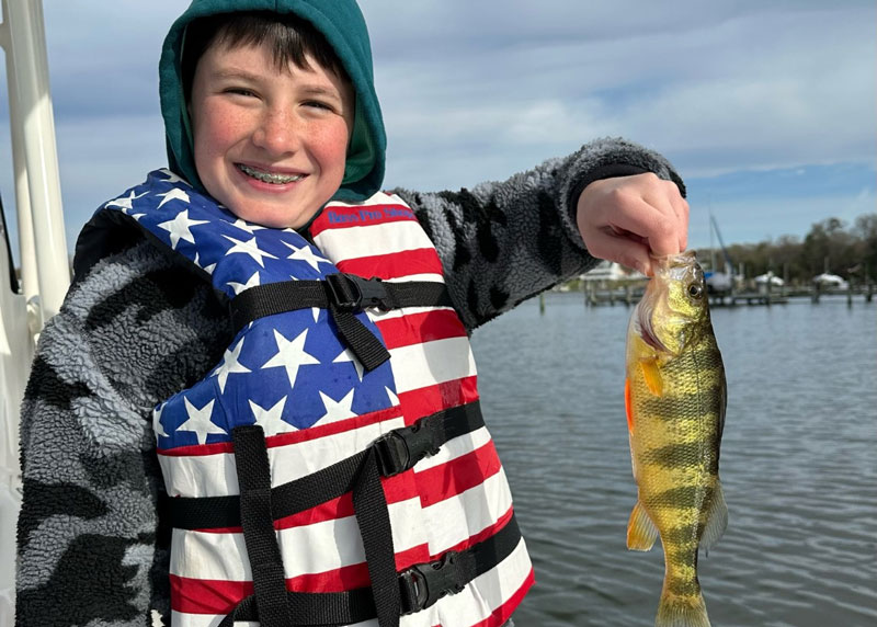 magothy river yellow perch