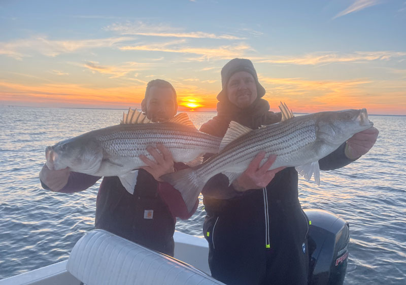 rock fishing in the chesapeake