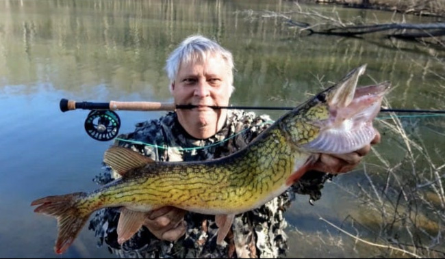 huge pickerel fish