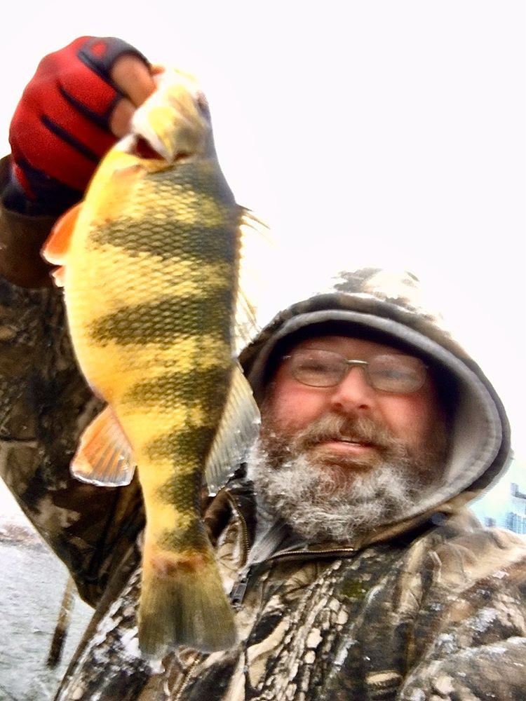 perch fishing on the upper bay